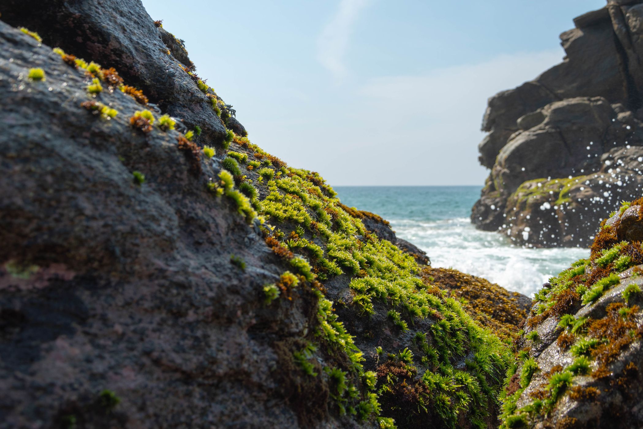 Mermejita, Mexico