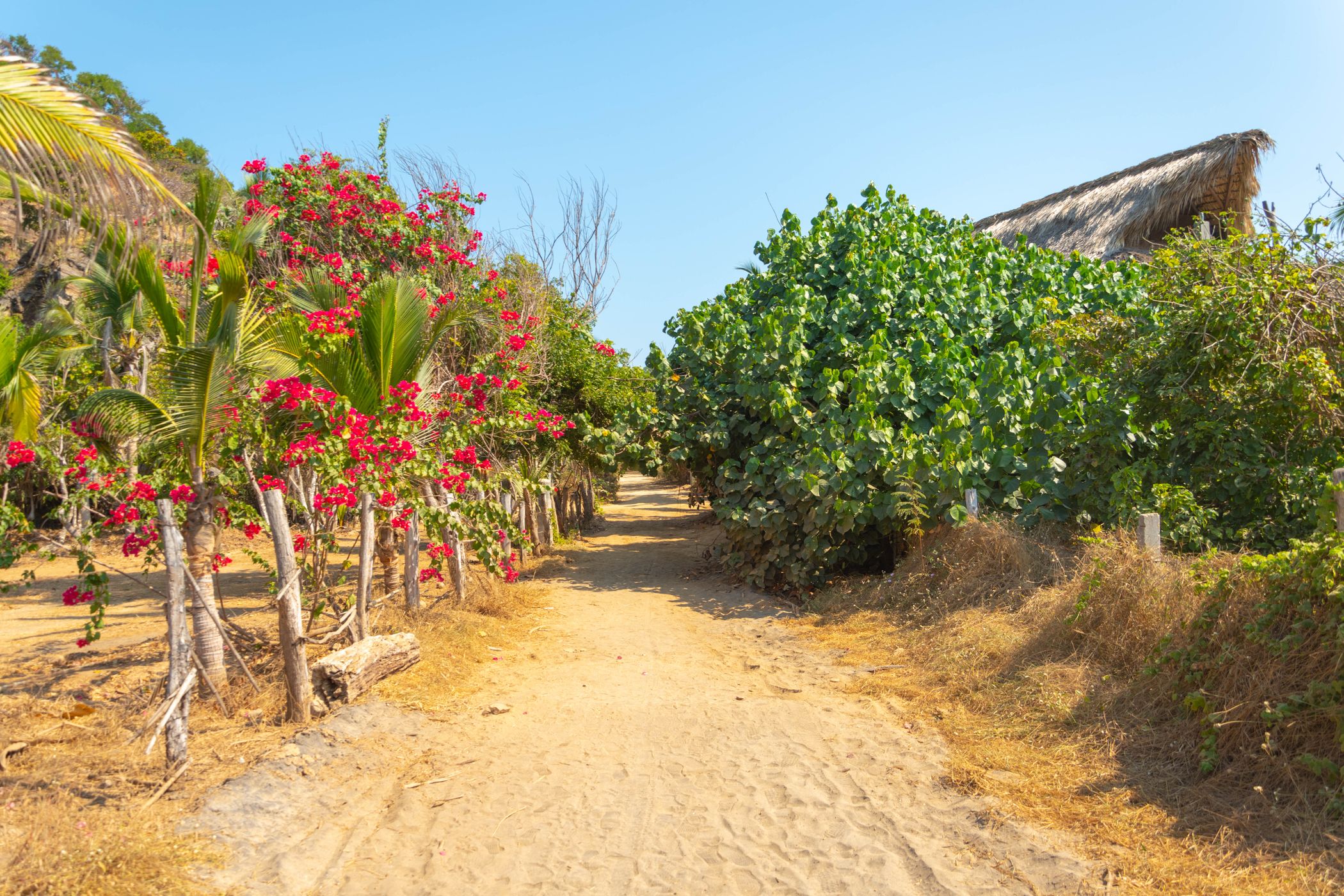 Mermejita, Mexico