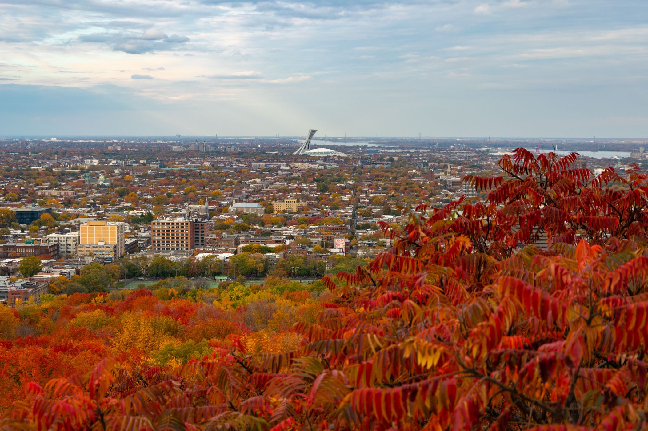 Mont Royal Park's - Camilien-Houde Belvedere, Canada