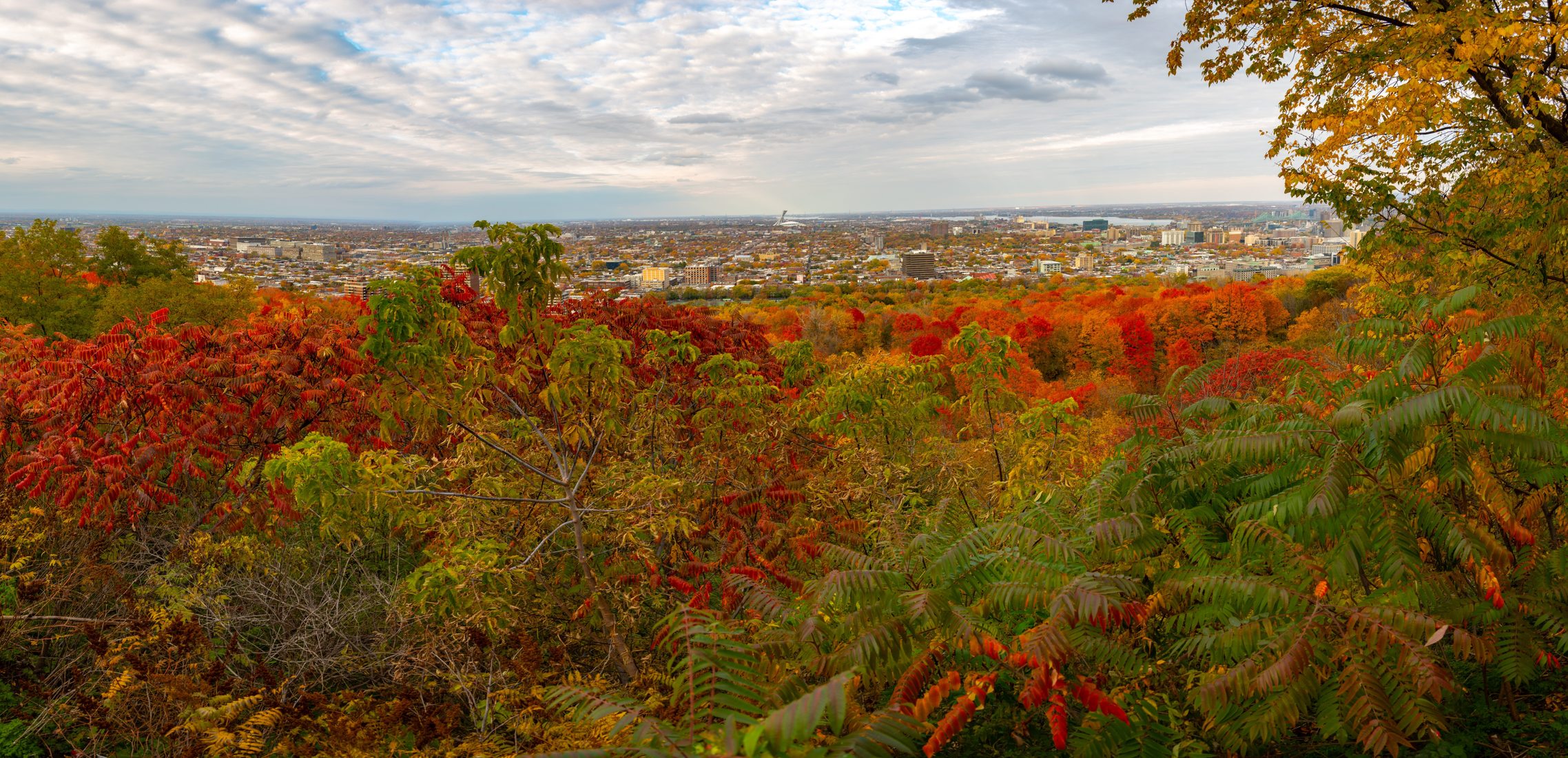 Mont Royal Park's - Camilien-Houde Belvedere, Canada