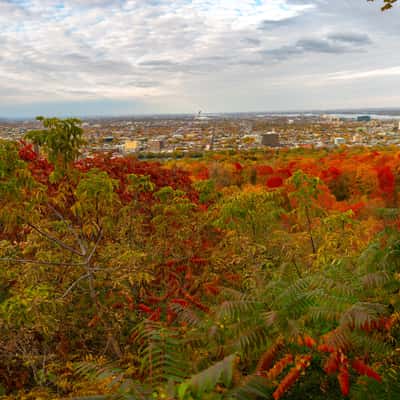 Mont Royal Park's - Camilien-Houde Belvedere, Canada