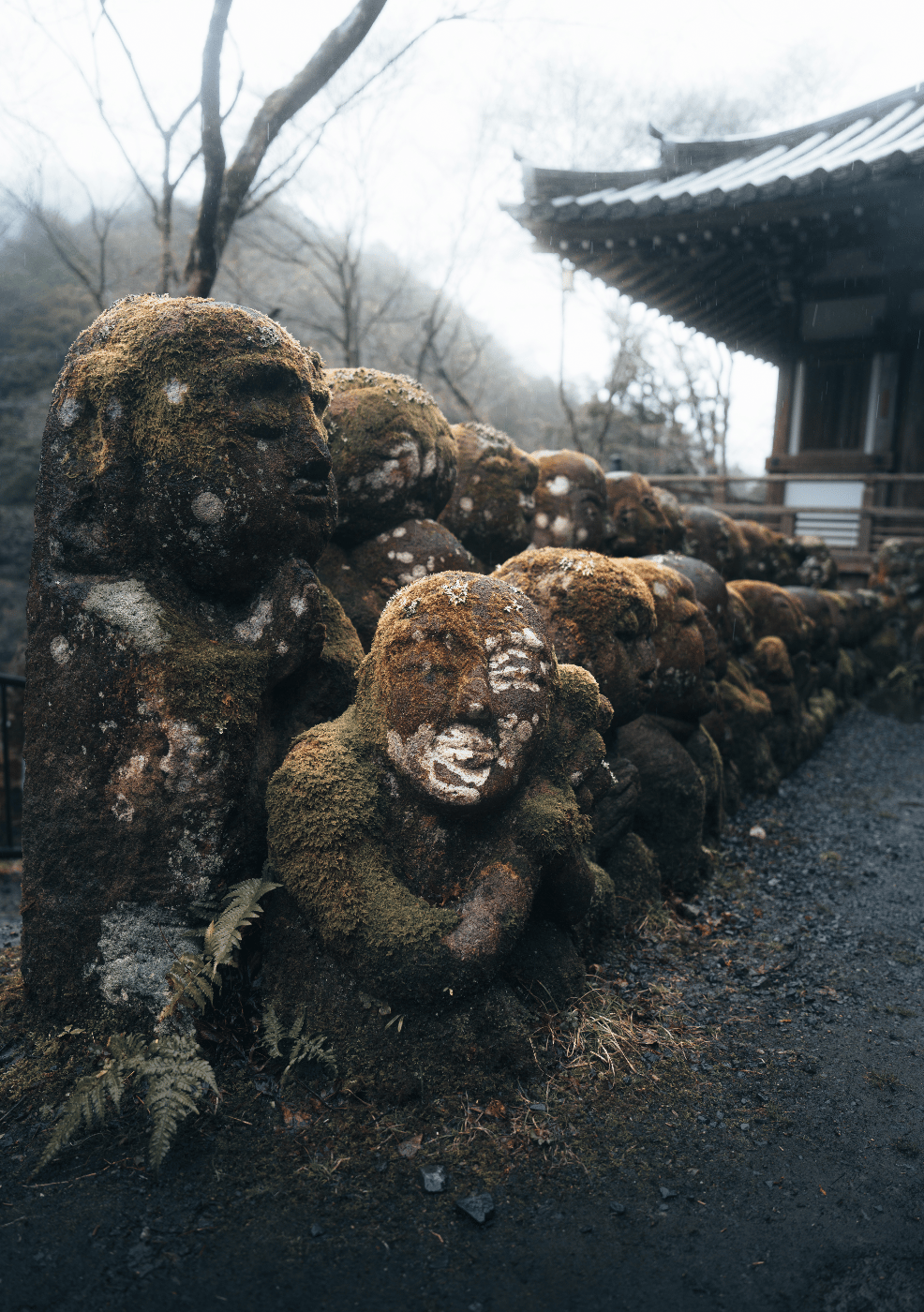 Otagi Nenbutsu-Ji Temple, Kyoto, Japan