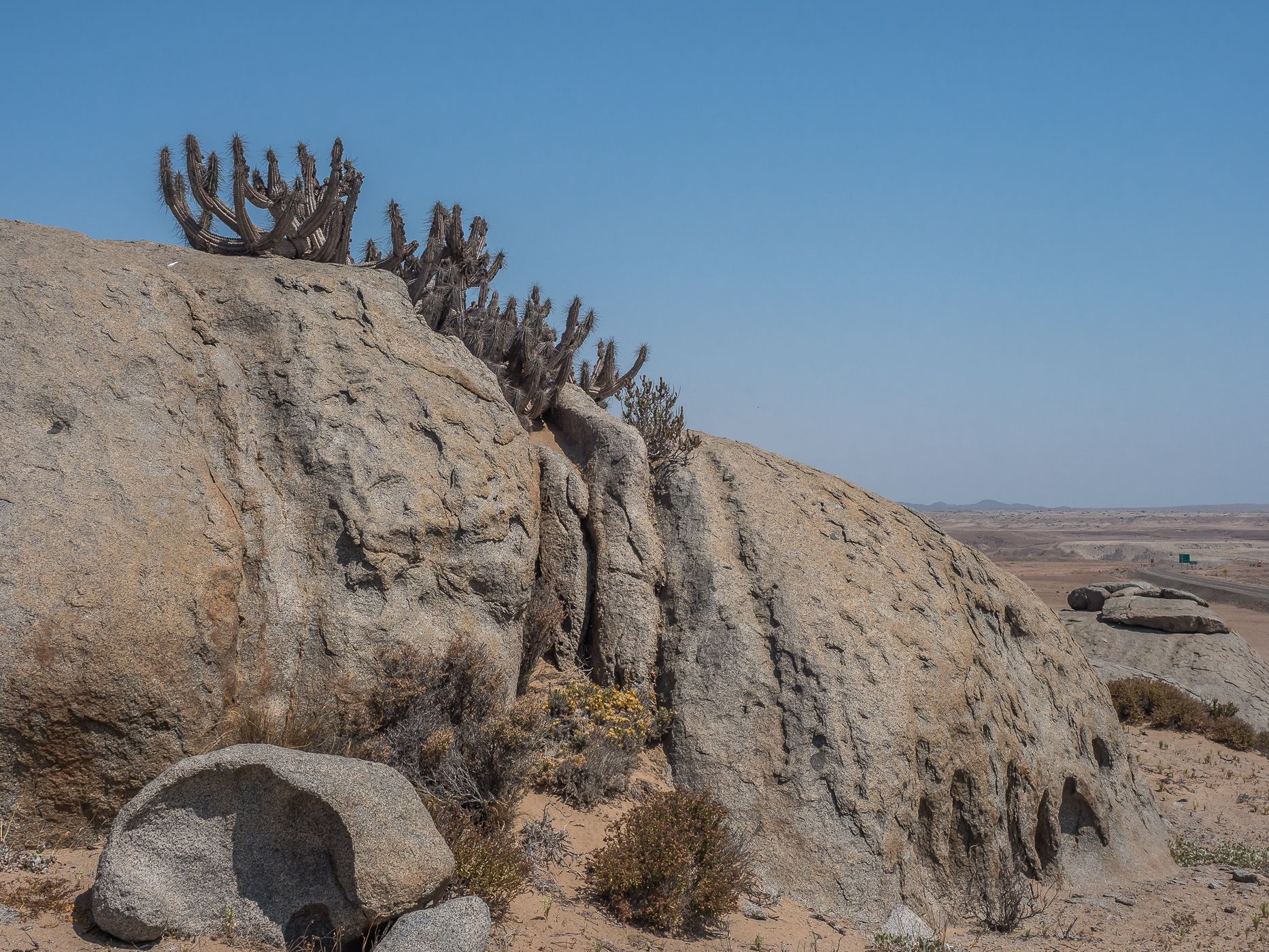 Pampa de La Higuera, Chile