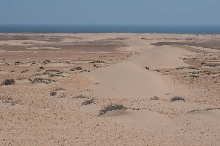 Pampa de La Higuera