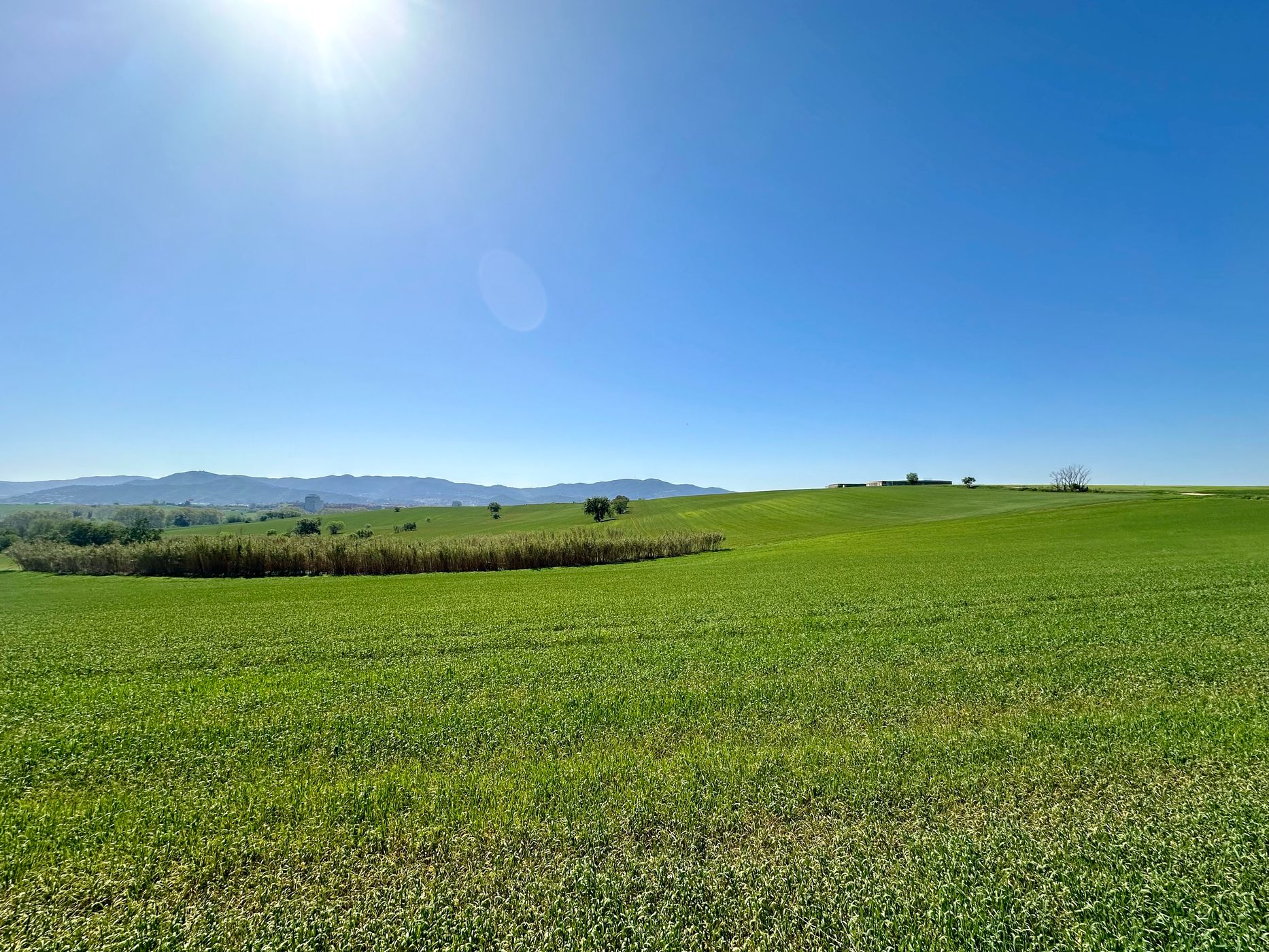 Panoramic view of Gallecs, Spain