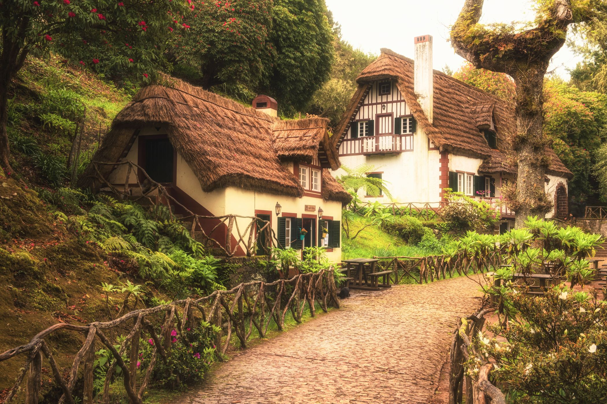 Parque Florestal das Queimadas, Madeira, Portugal