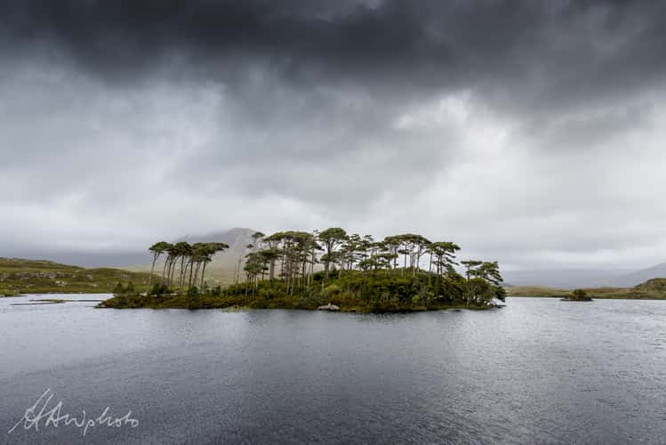 Pines Island Viewpoint