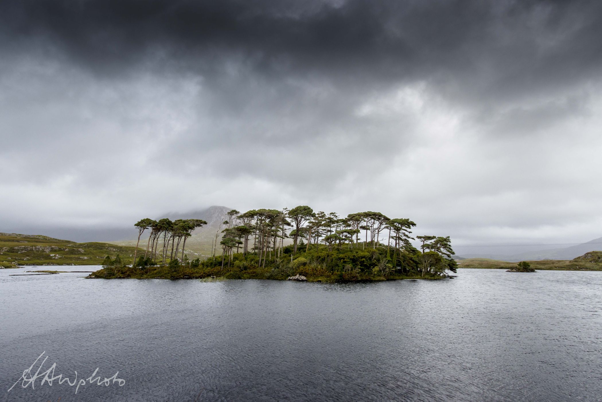 Pines Island Viewpoint, Ireland