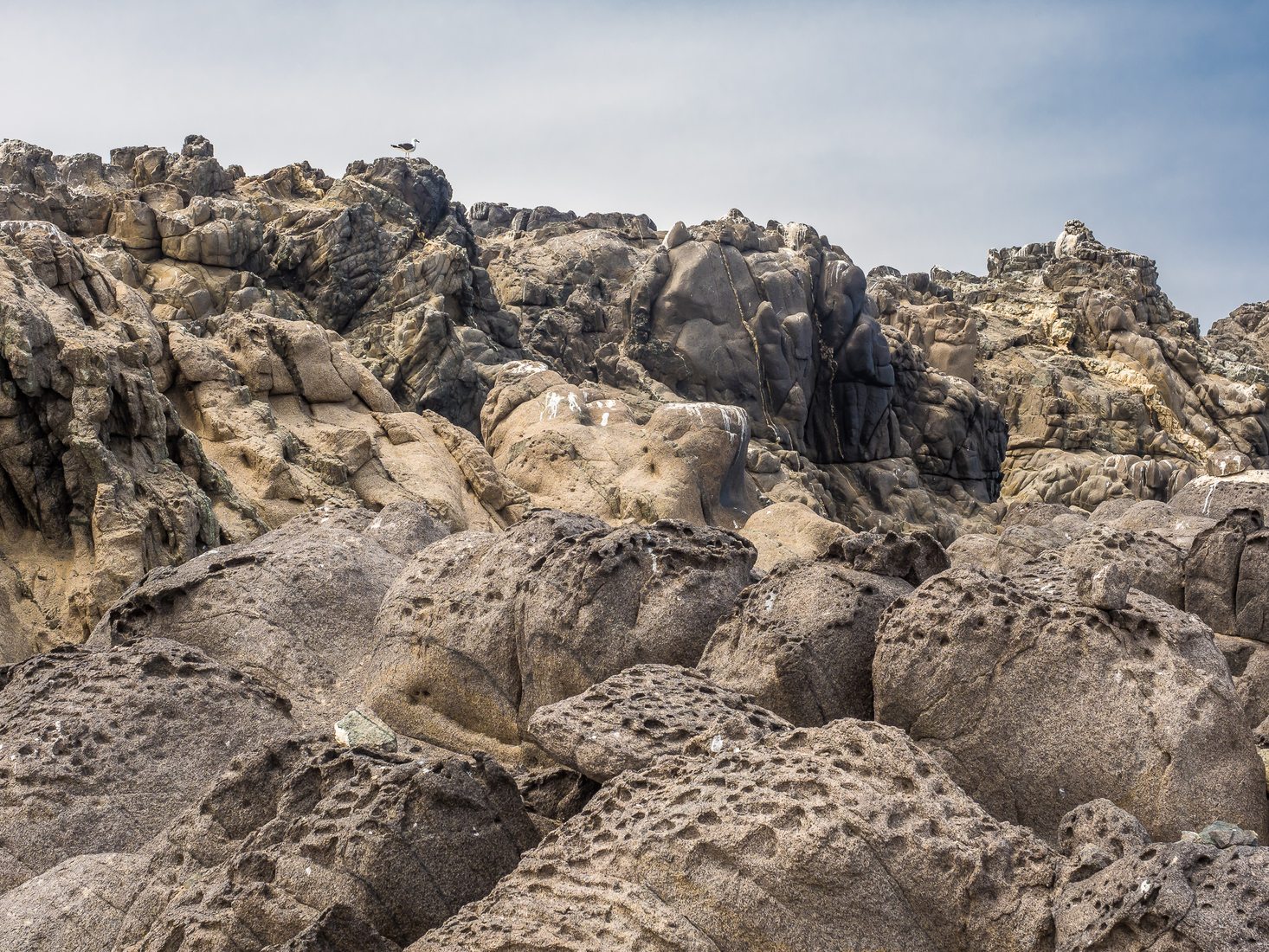 Punta Caldera, Chile