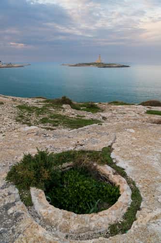 Punta San Francesco, Vieste