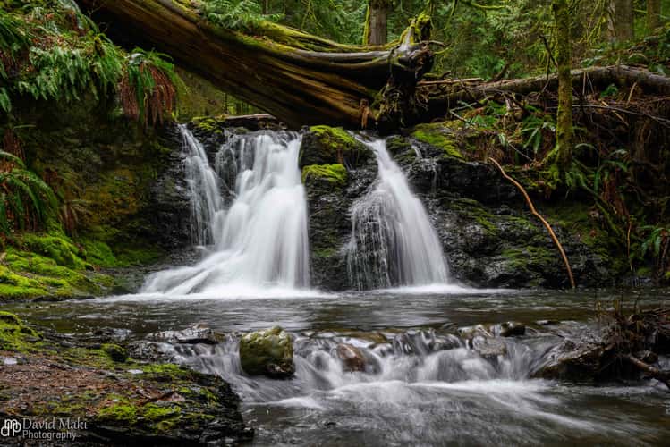 Rustic Falls