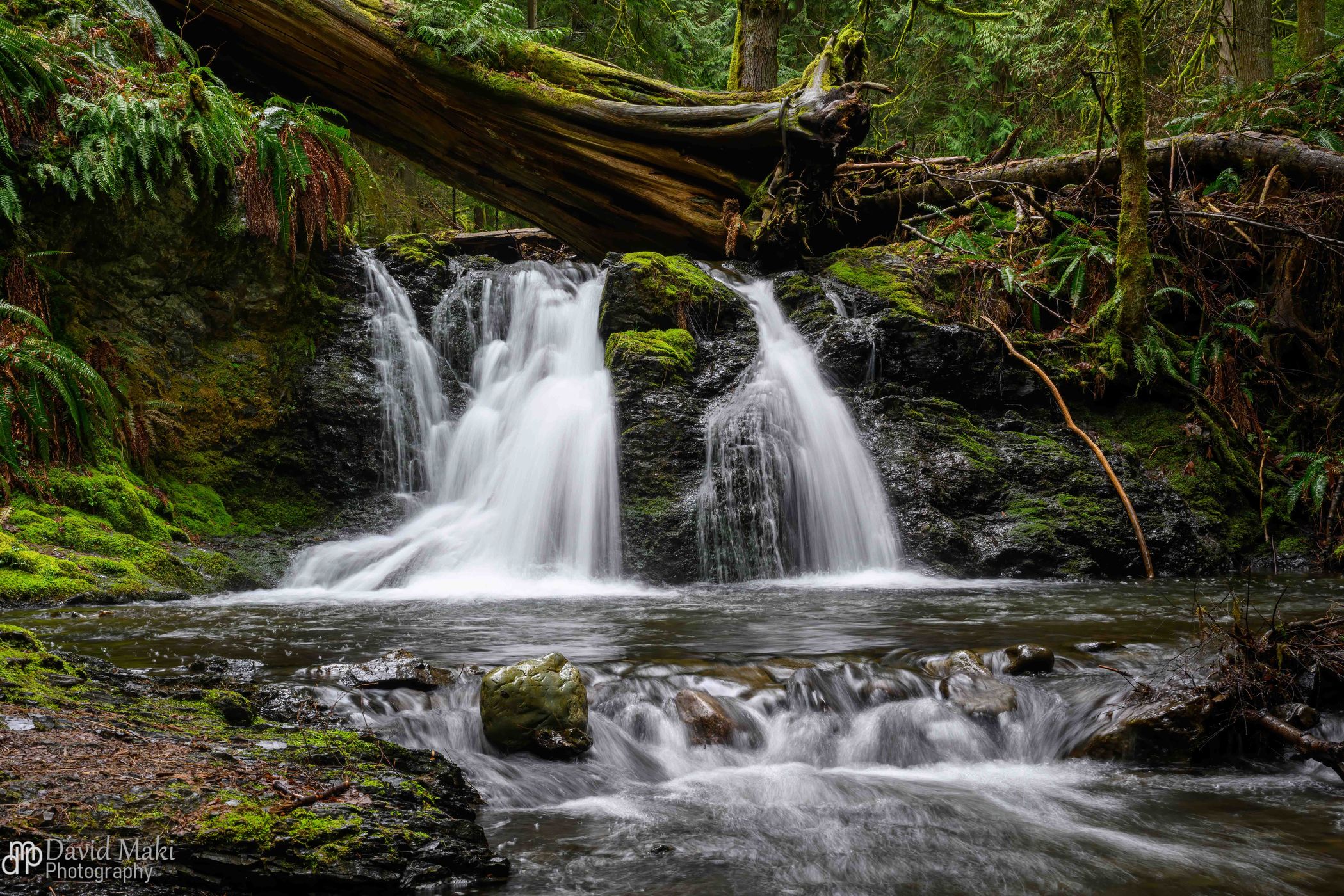 Rustic Falls, USA