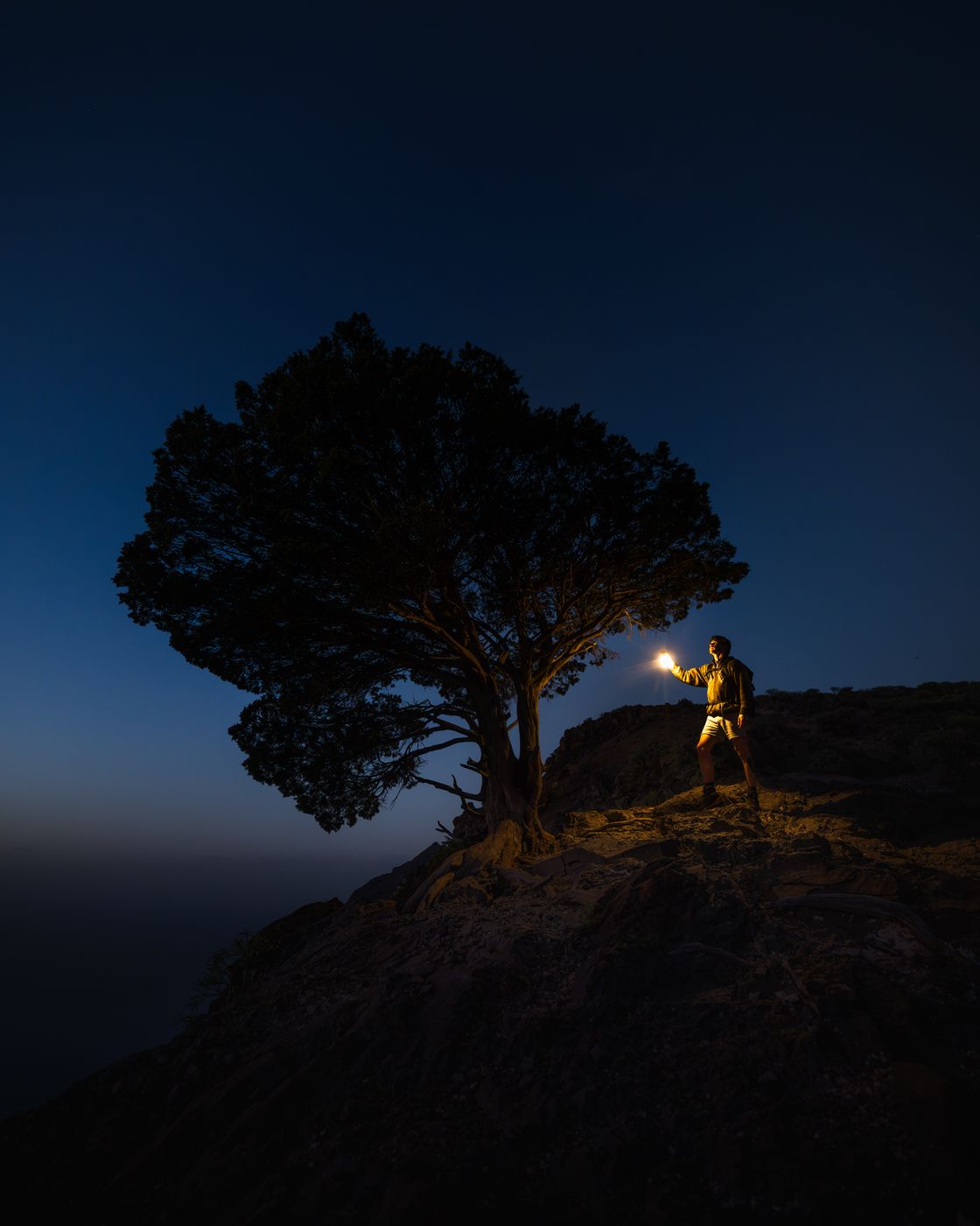 Sabina de La Mérica, La Gomera, Spain