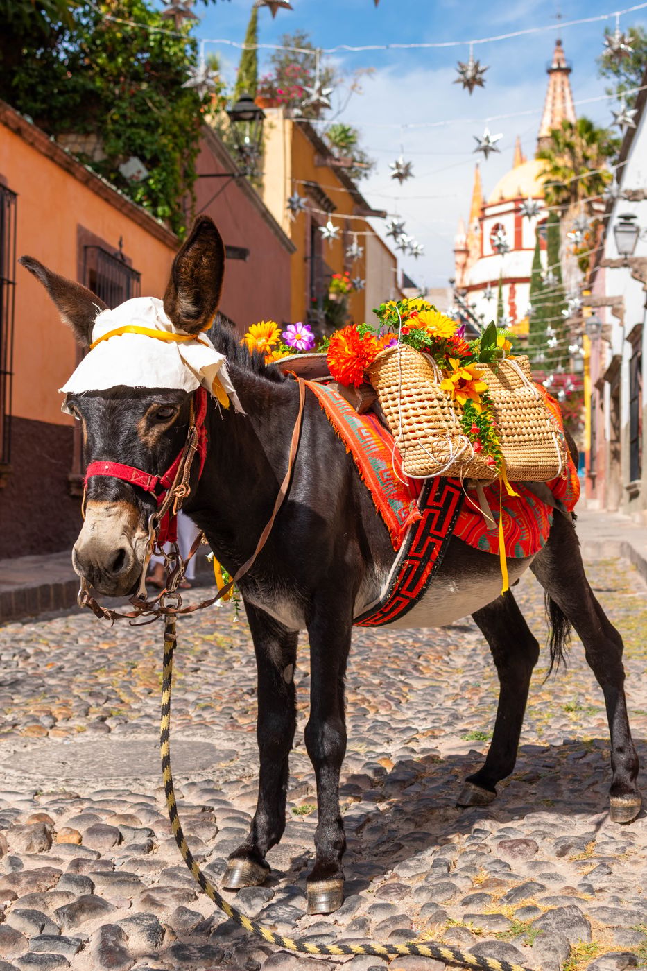 San Miguel de Allende - Calle Aldama, Mexico
