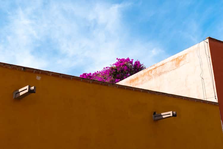 San Miguel de Allende - Calle Jesus