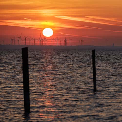 Seezugang Purbach am Neusiedlersee