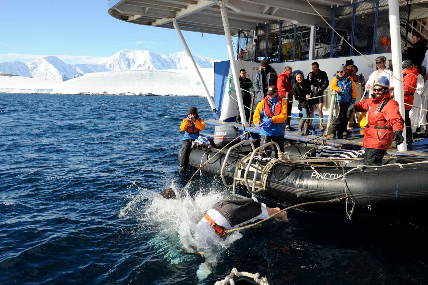 The Polar Plunge, Oren Harbour, Antartica, Antarctica