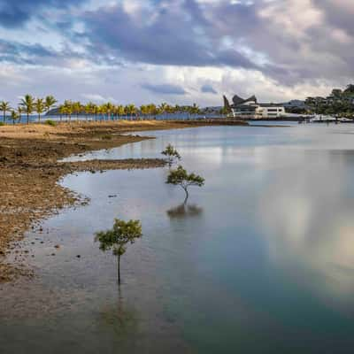 Three Trees, Hamilton Island, Queensland, Australia