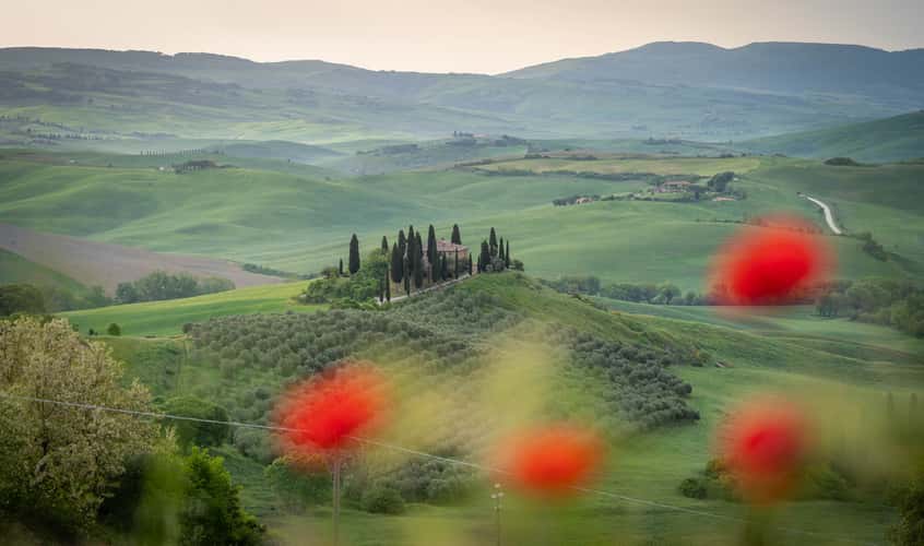 Podere Belvedere in the Val D'orcia Tuscany