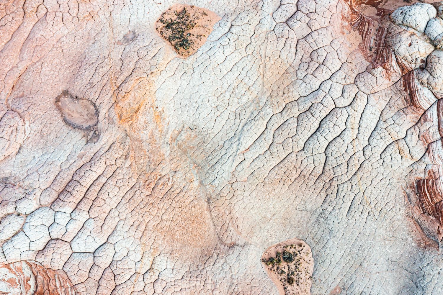 White Pocket, Arizona, USA