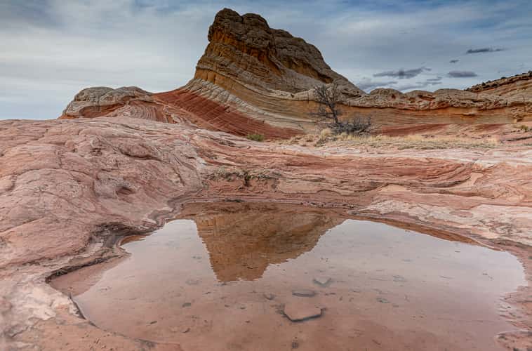 White Pocket, Arizona