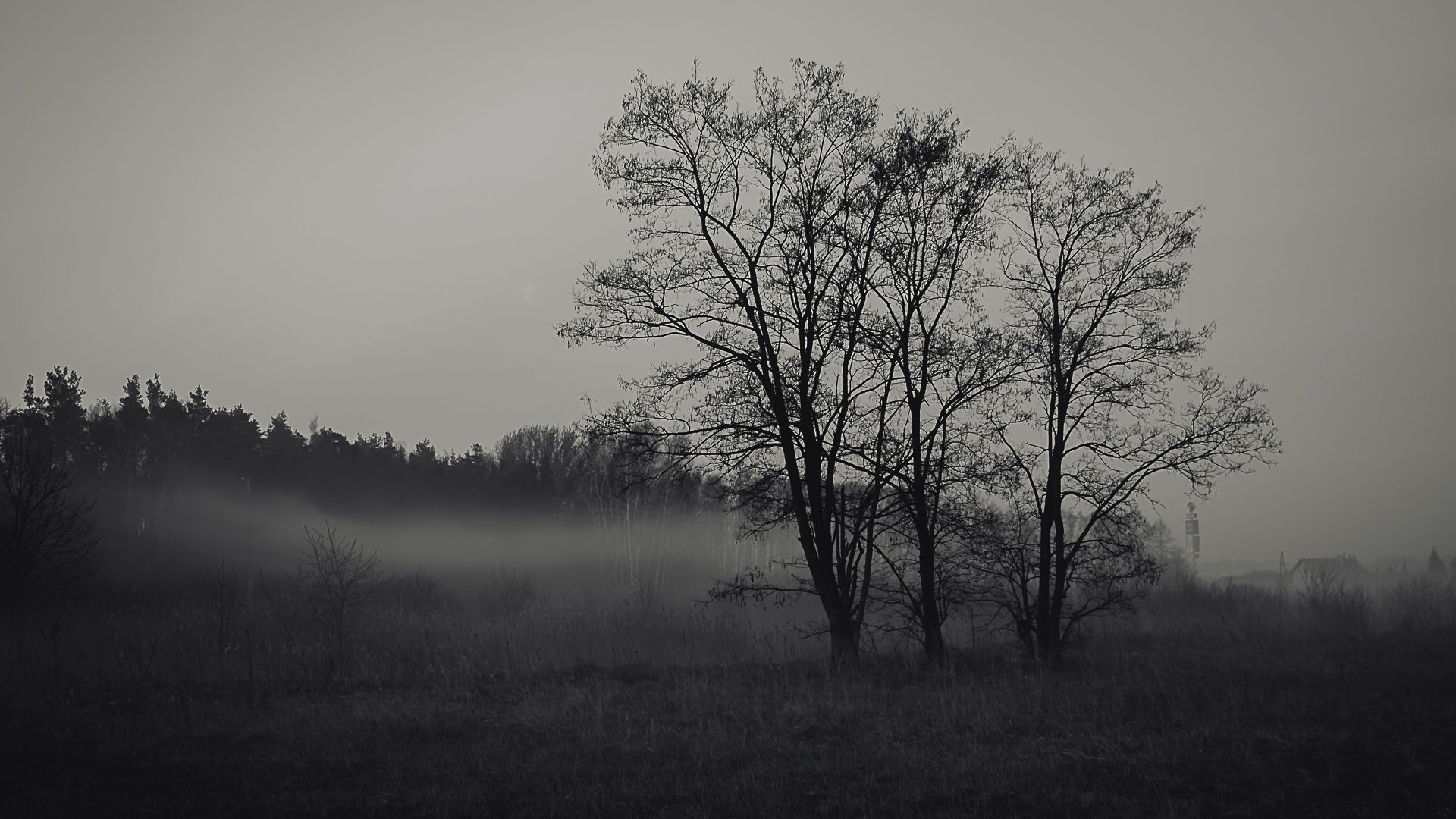 Zduńska wola, Poland