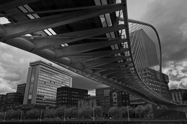 Zubizuri/Puente de Calatrava