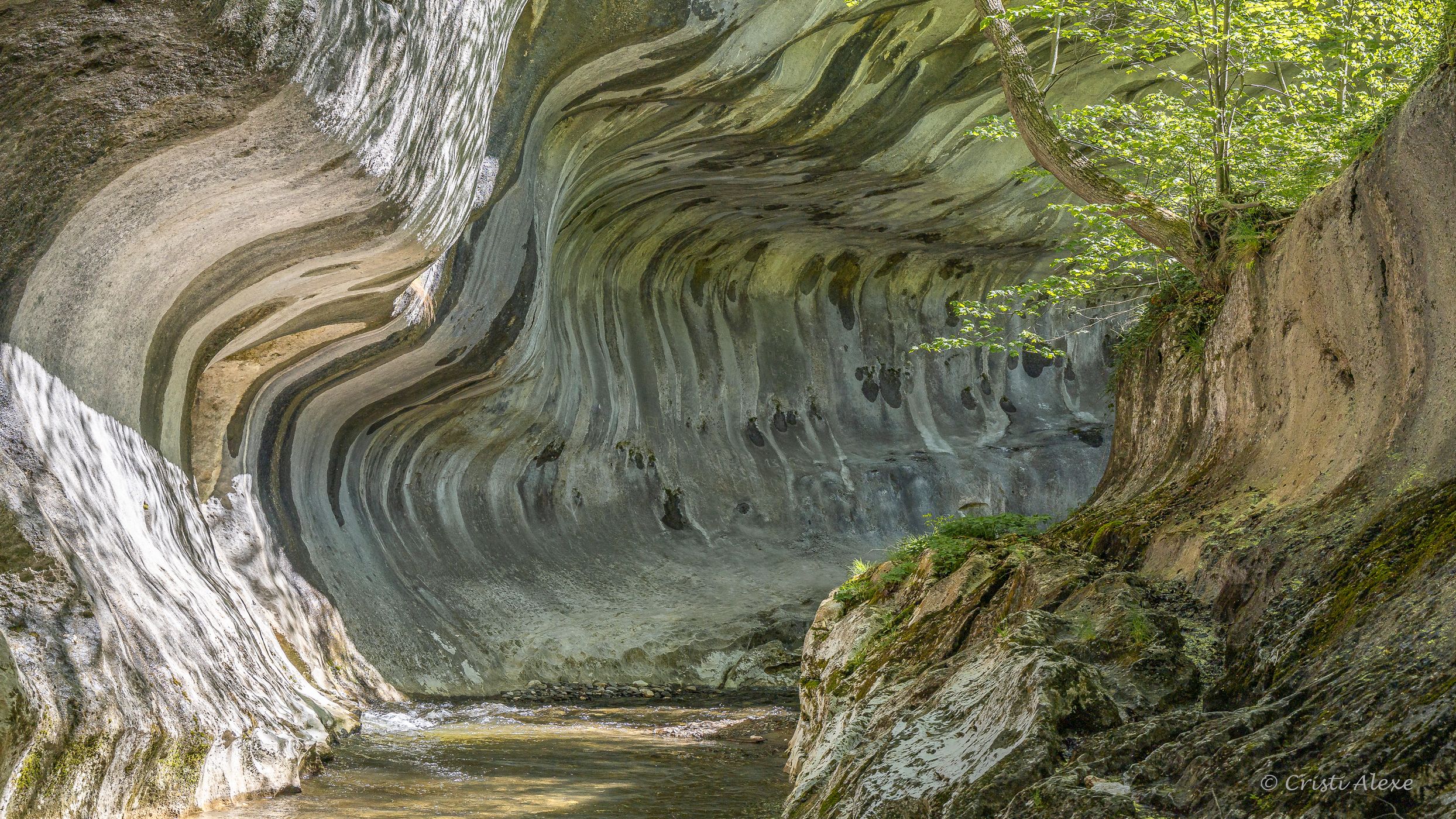 Banitei Gorge, Romania