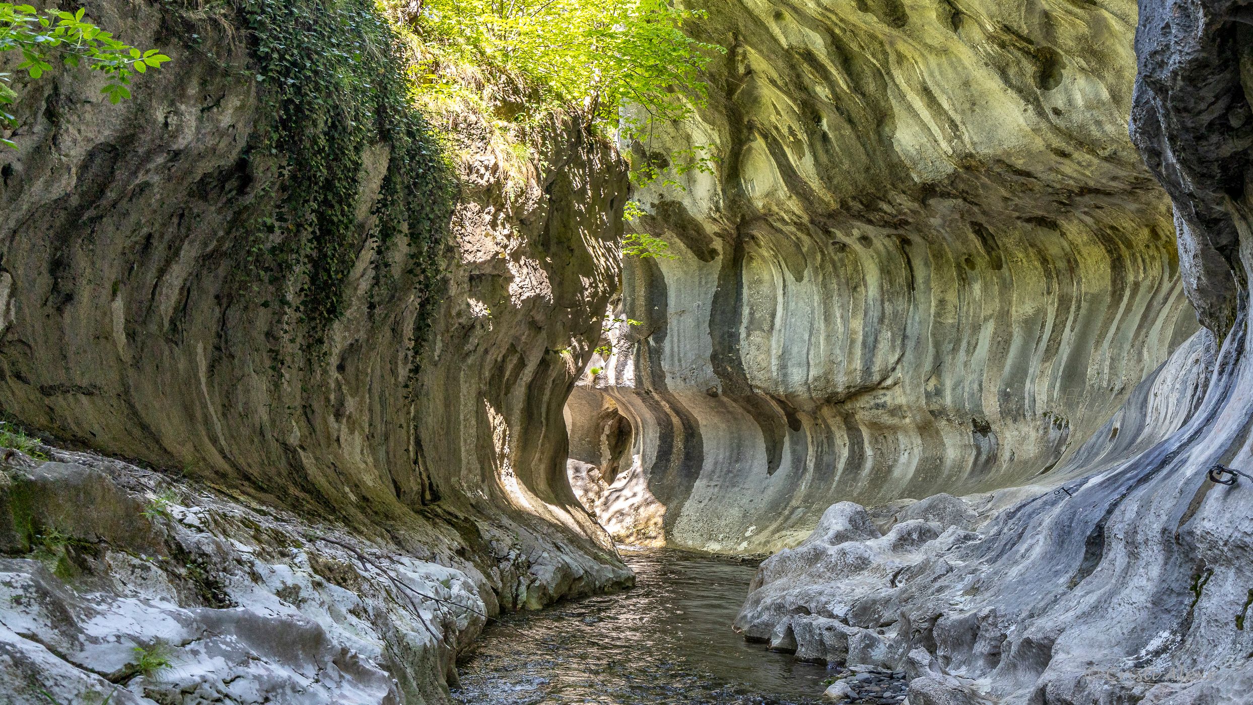Banitei Gorge, Romania