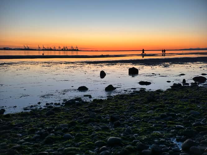 Beach at the bottom of Fred Gingell Park