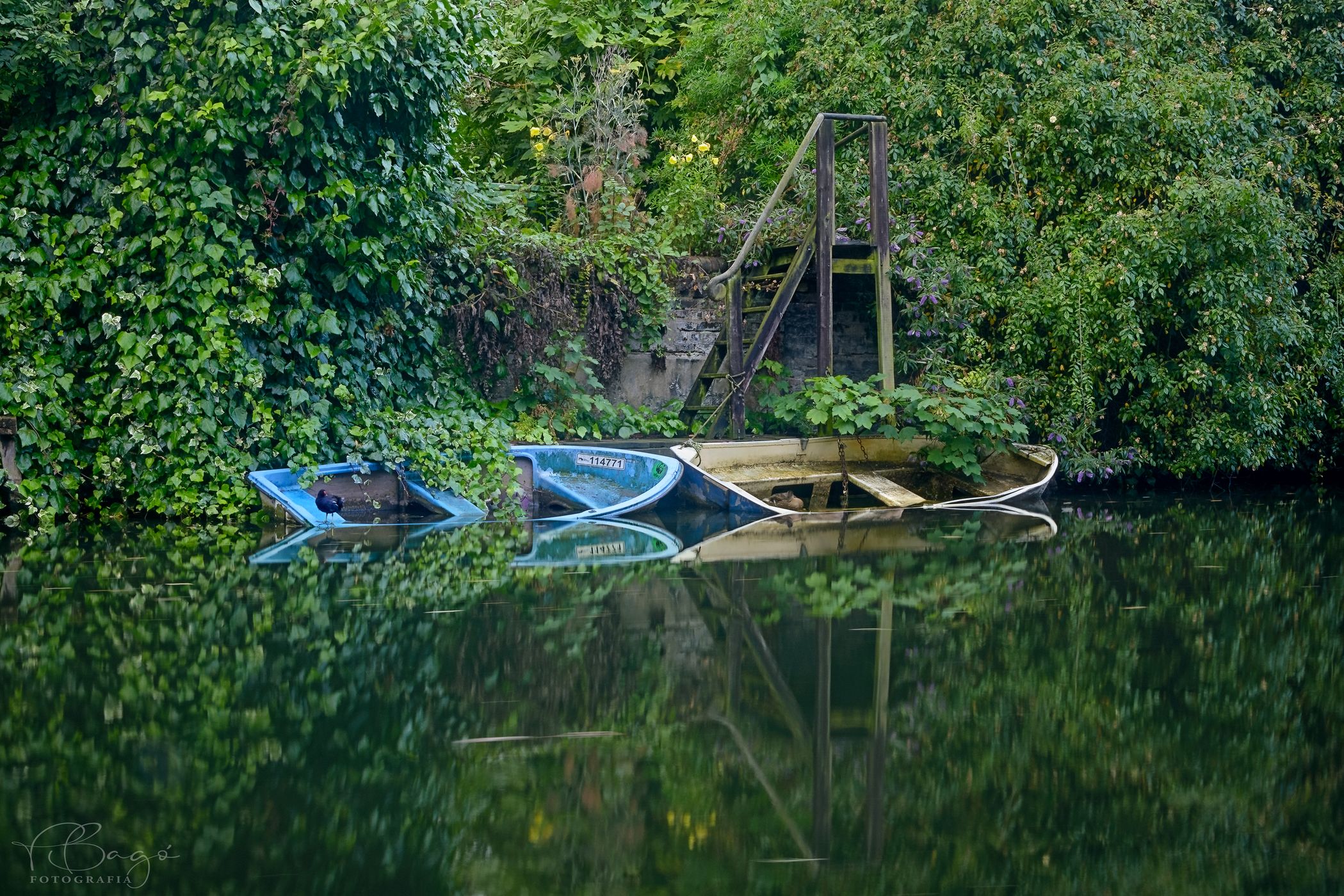 Boats in Regent's Canal, United Kingdom