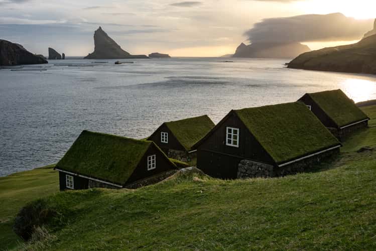 Bøur