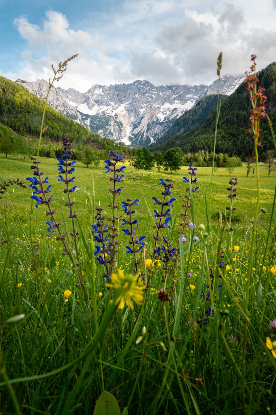 Camp Senkova, Slovenia