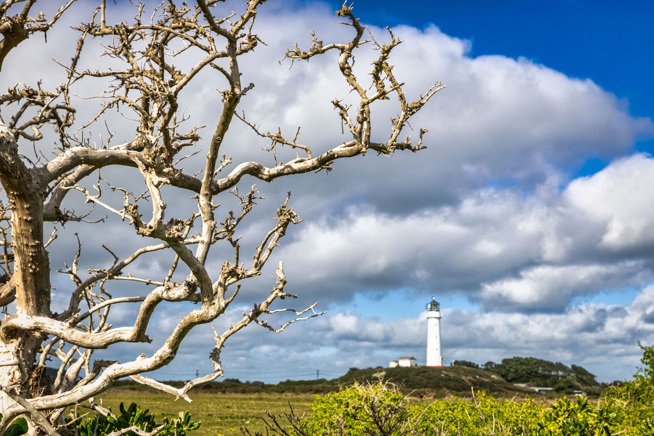 Cape Egmont Lighthouse, New Zealand