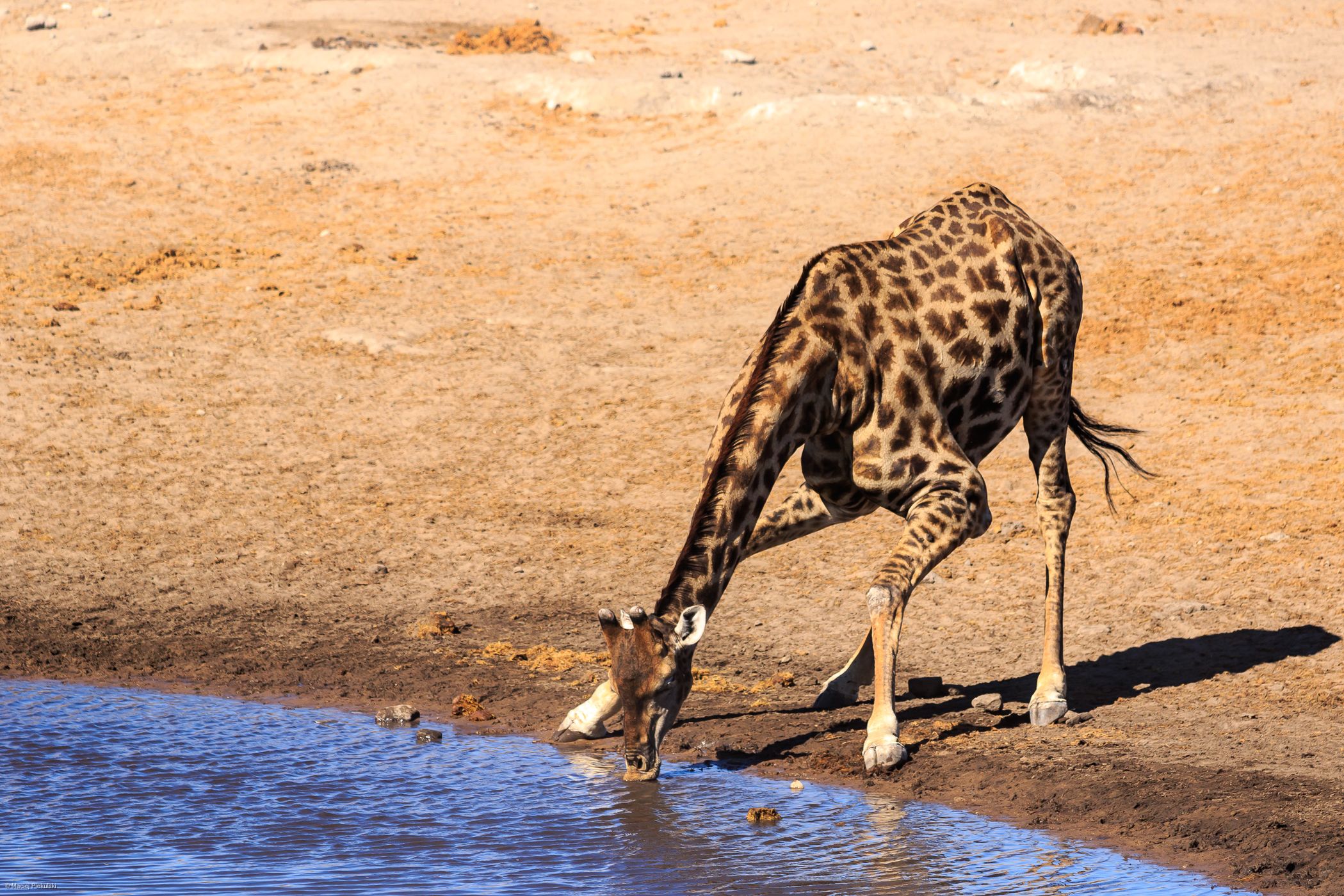 Chudop Waterhole, Namibia