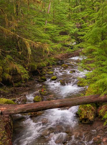 Copper Creek in the Lower Lewis River Falls area