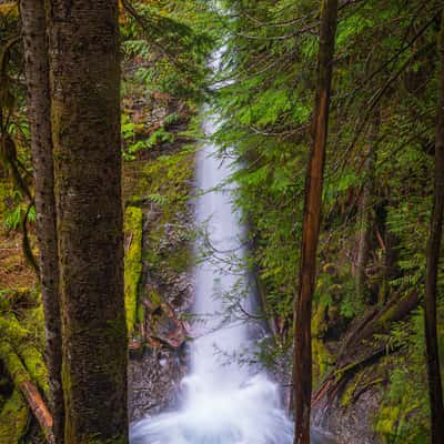 Copper Creek in the Lower Lewis River Falls area, USA