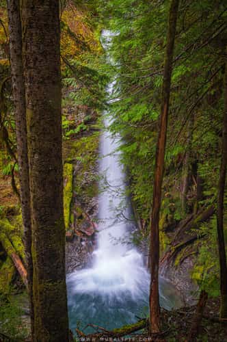 Copper Creek in the Lower Lewis River Falls area