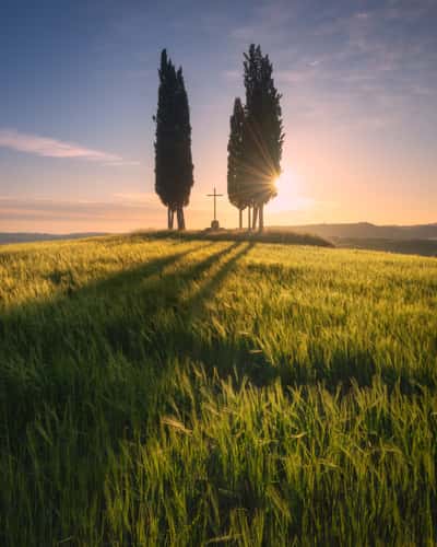 Cypresses at Croce di Prata