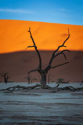 Deadvlei, Sossusvlei