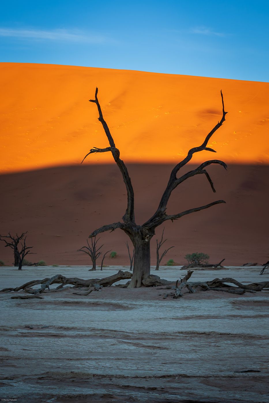 Deadvlei, Sossusvlei, Namibia