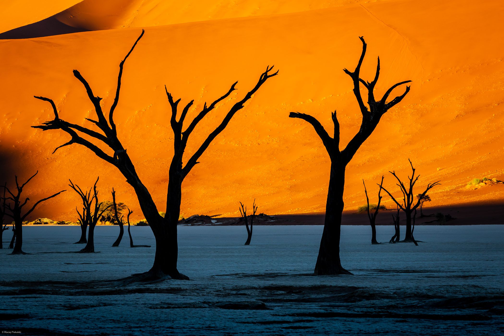 Deadvlei, Sossusvlei, Namibia