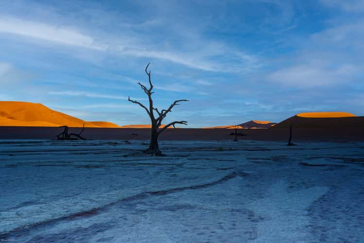 Deadvlei, Sossusvlei