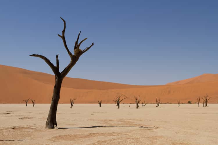 Deadvlei, Sossusvlei