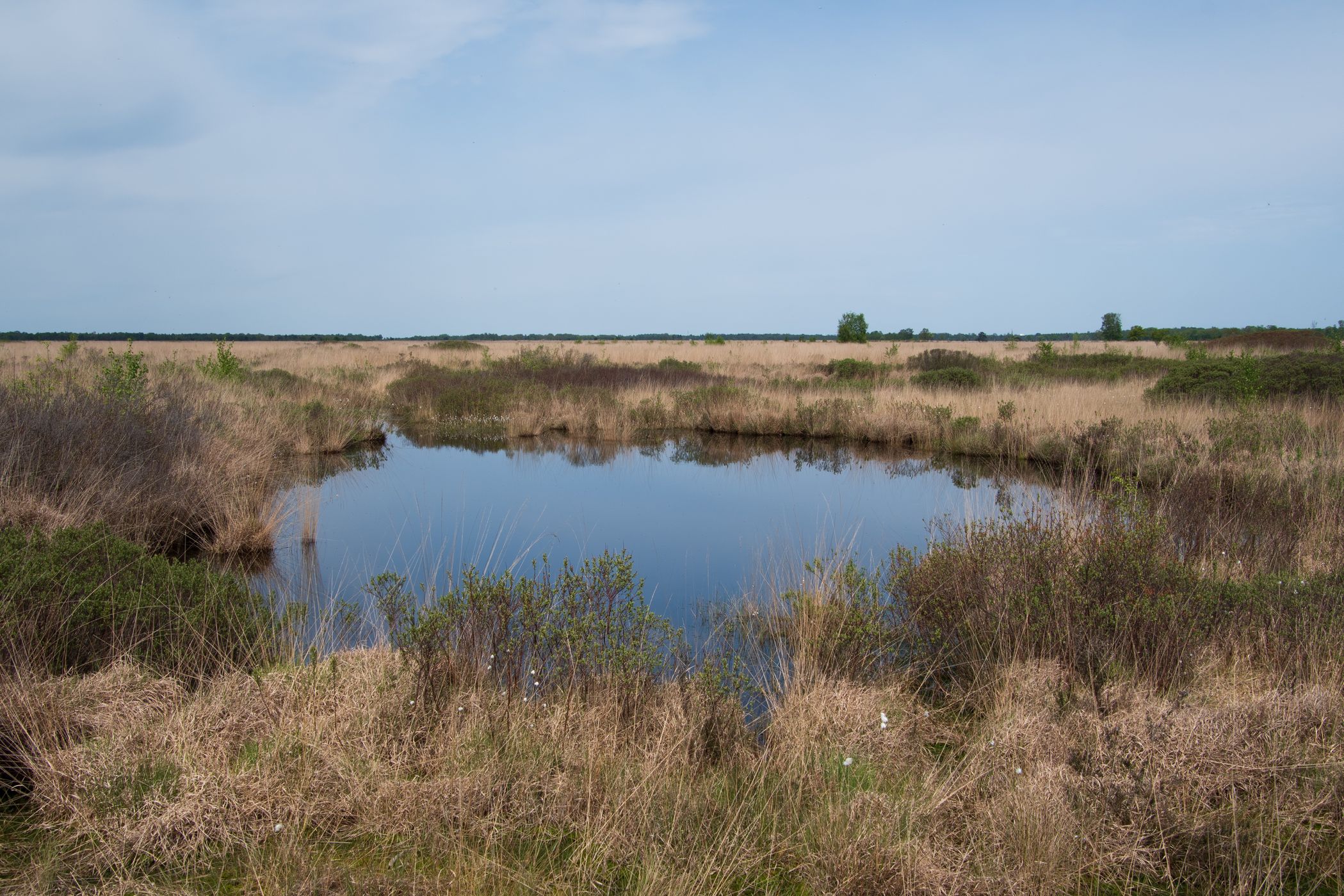 Engbertsdijksvenen, Netherlands