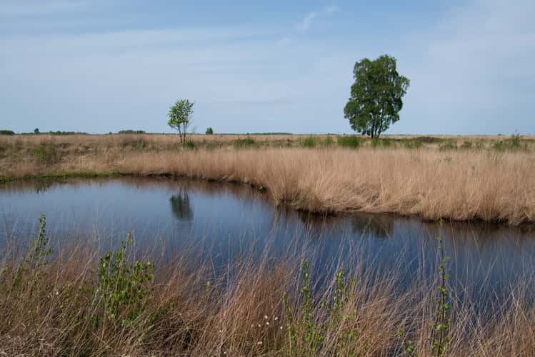 Engbertsdijksvenen