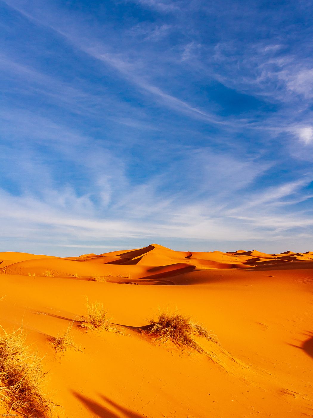 Erg Chebbi Desert, Morocco