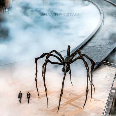 Itsy bitsy Spider. Bilbao., Spain