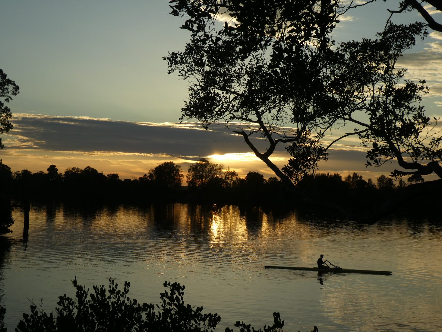 Kayak on Manning River, Australia