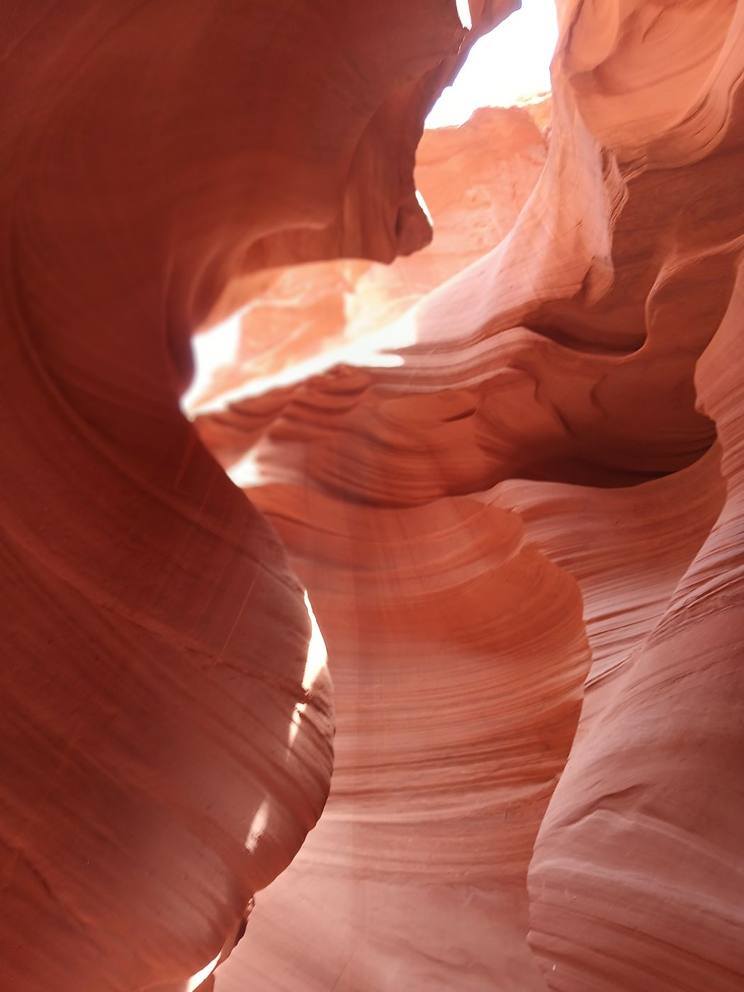 Ken's tours, USA